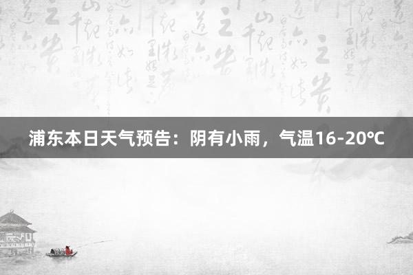 浦东本日天气预告：阴有小雨，气温16-20℃